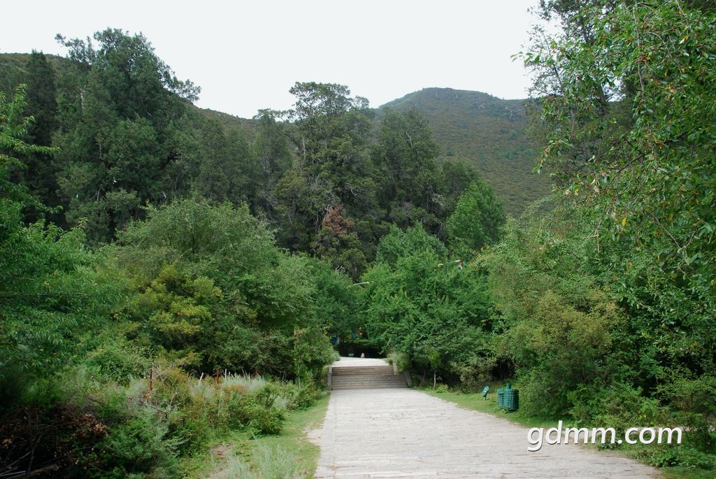4.jpg