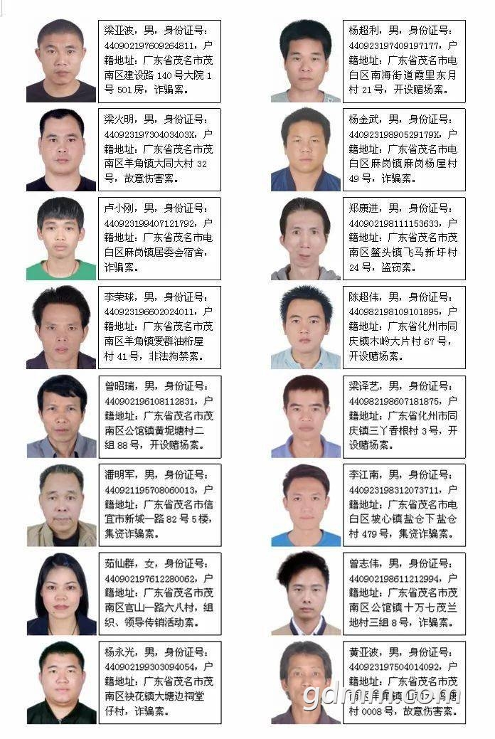 扩散电白以下人员被警方通缉了有你认识的吗