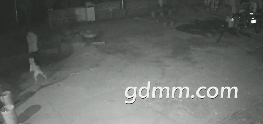 δ����1608002457.png