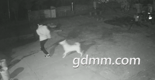 δ����1608002467.png