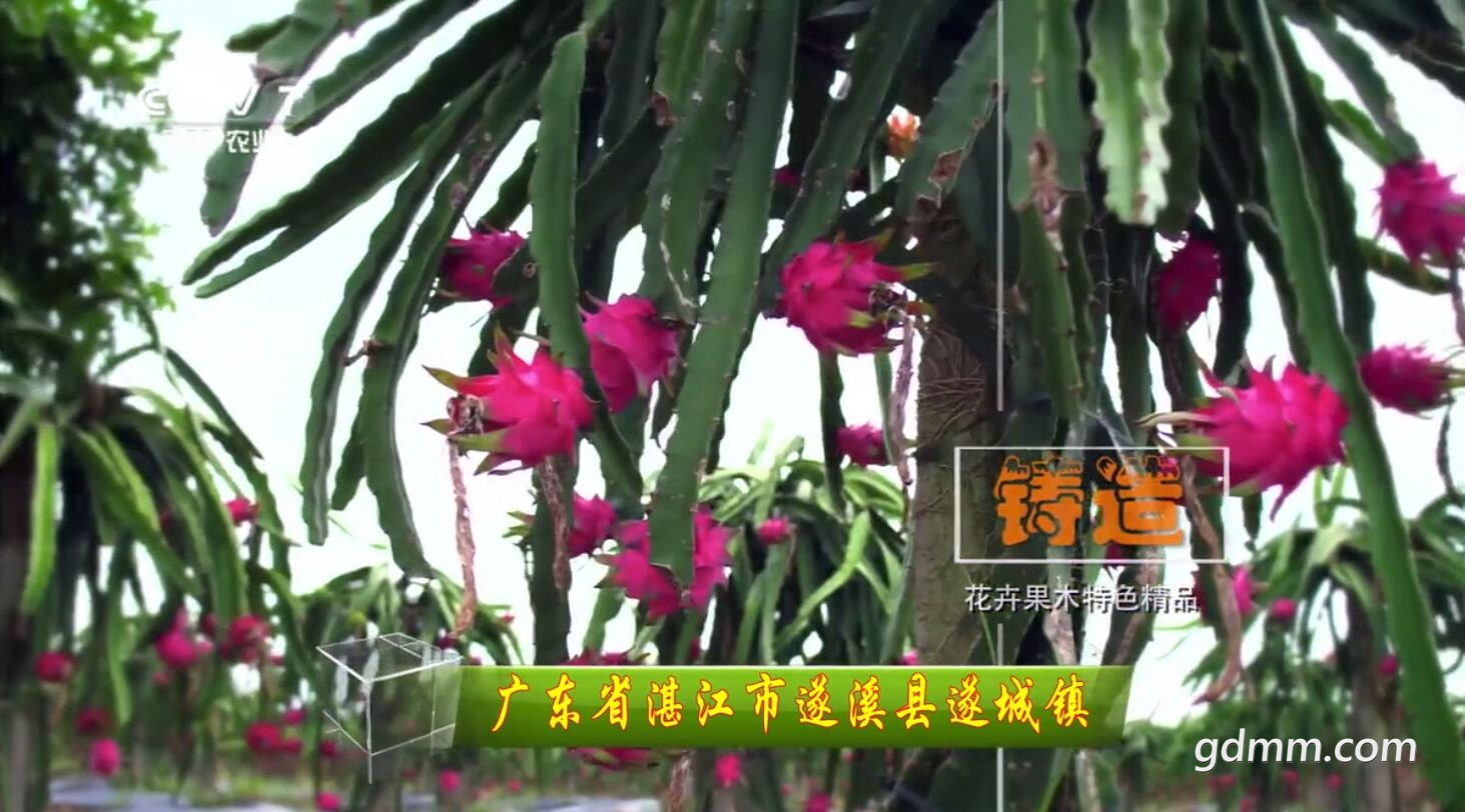 QQ��ͼ20181210190909.jpg