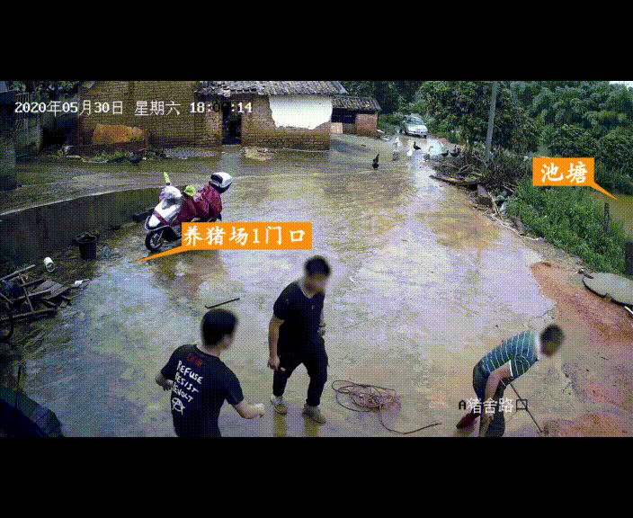 083305vjppy1ryzbgj5nrn.gif