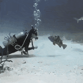 front2_0_ltZUYo9aAq3T2hvG5dVHFlzjOhMS.1609494521.gif