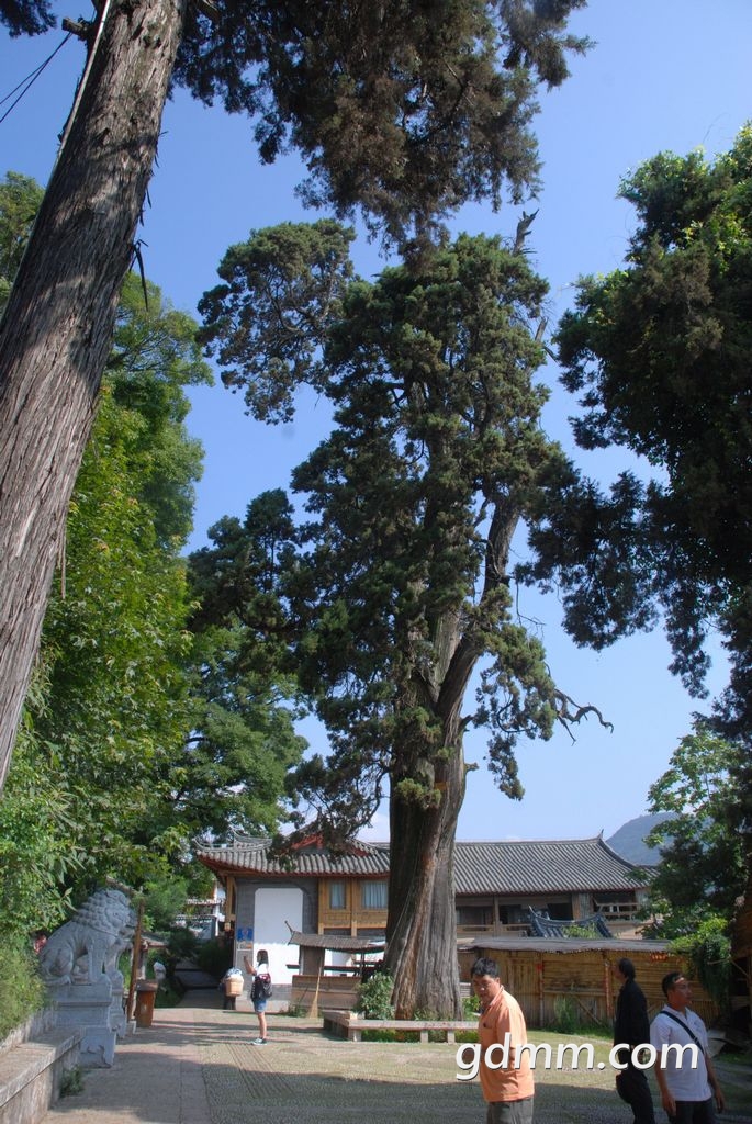 13.jpg