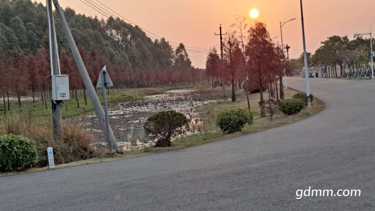front2_0_FntCSkjvu5Z7gmH9hIraxkfGOdPx.1610929976.jpg