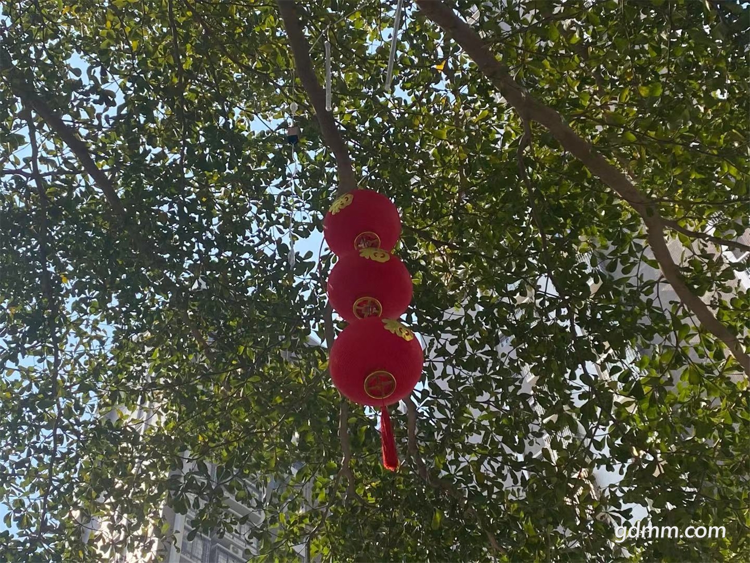 ΢��ͼƬ_20210119153634.jpg
