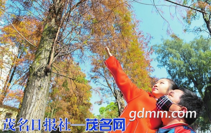b0a04c3c664615f72ddd35728beaf7bb.jpg