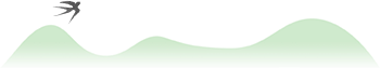 204142pxlz55rzd5loxcl0.png