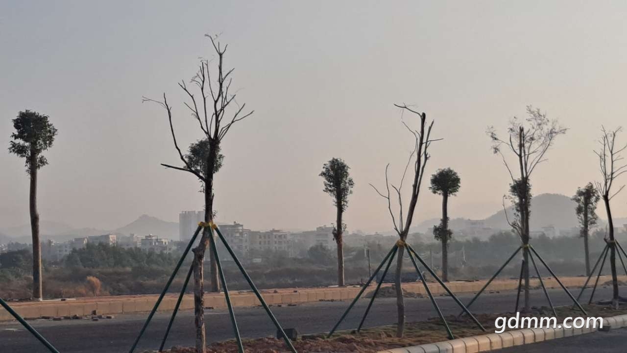 front2_0_FuZYso5F-8yZZmJEPDVwmJ5xzPqq.1612142055.jpg