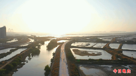 ΢��ͼƬ_20210206200956.gif