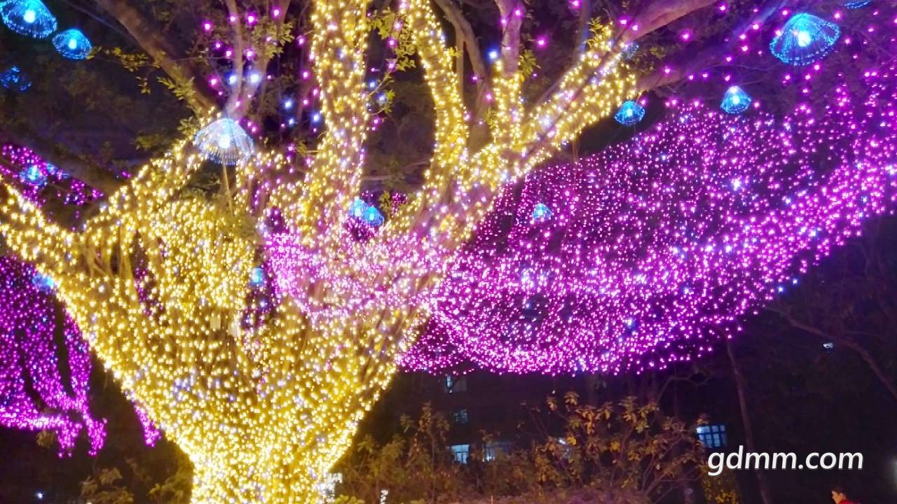 front2_0_Fq6tZ7tzUCmigEdZIEf3nVlOJJFf.1612624026.jpg