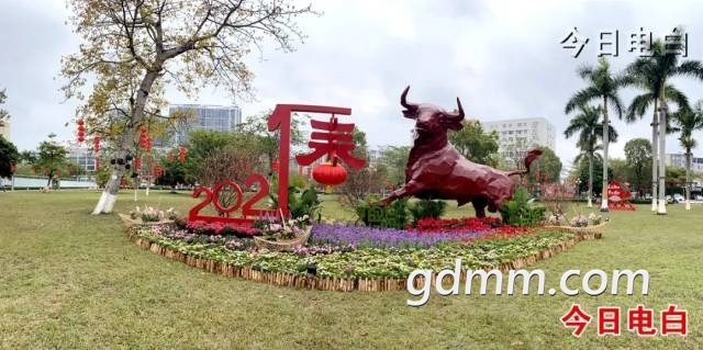 ΢��ͼƬ_20210212192015.jpg
