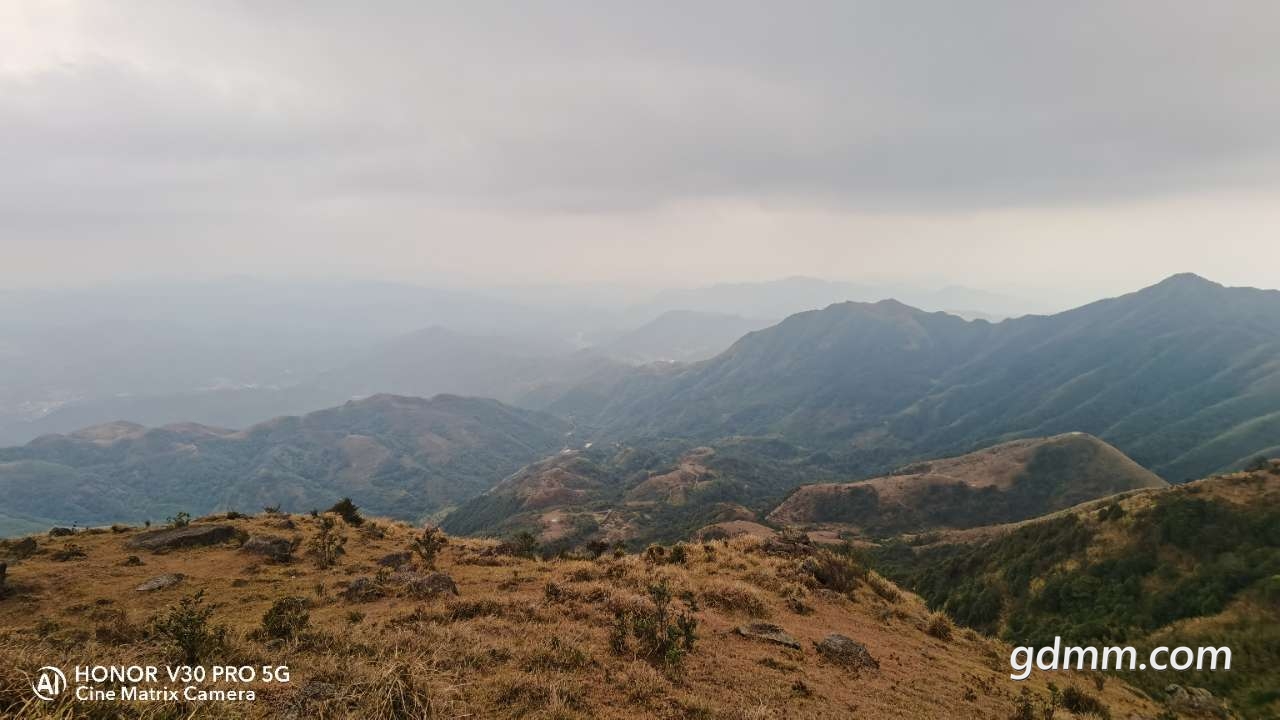 信宜高州阳春界山鸡笼顶