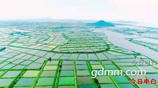΢��ͼƬ_20210218094329.png