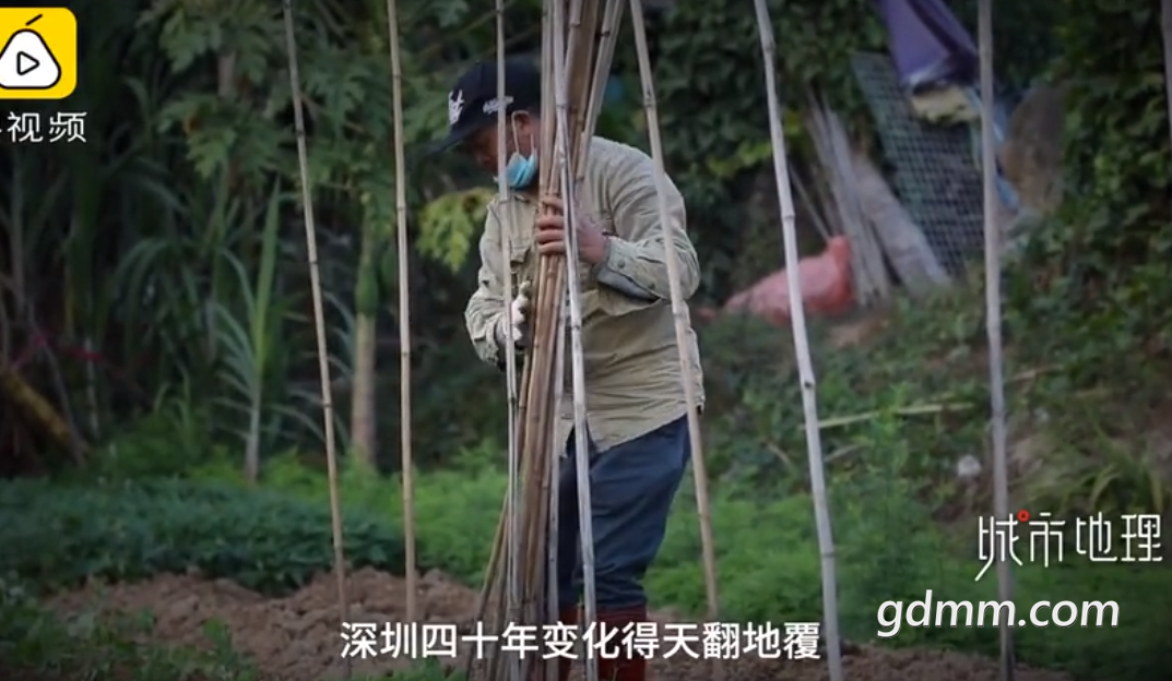 δ����1614047426.png