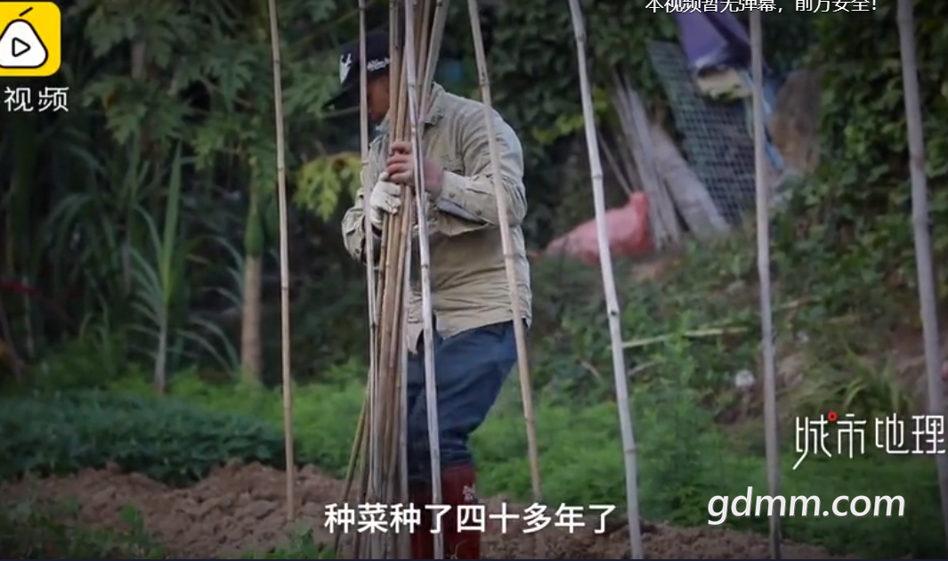 δ����1614047415.png