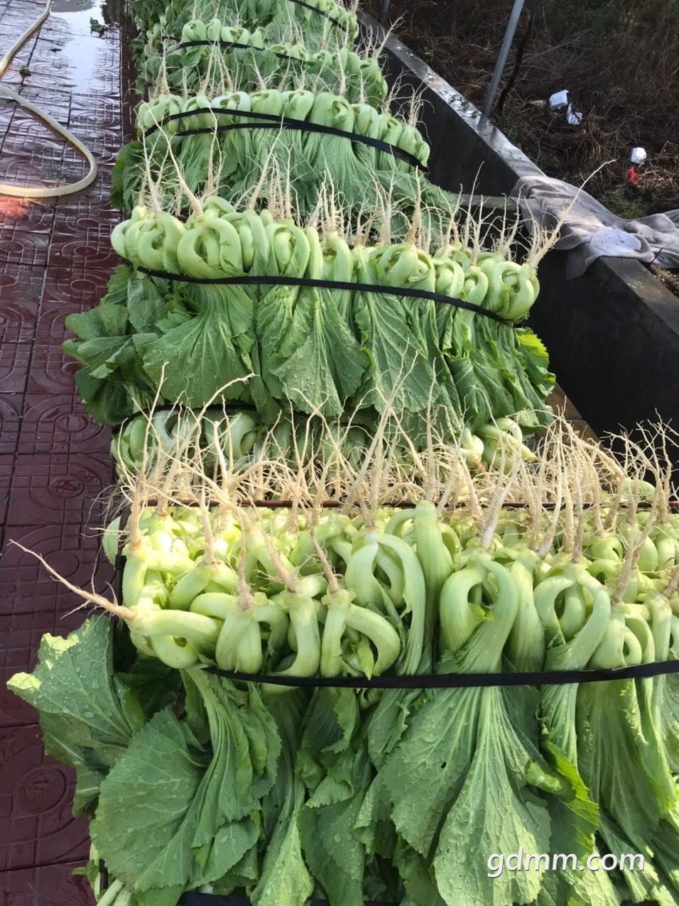 front1_0_FgL3H2ESDNfoKYIKW3etLAFRKhNE.1614522156.jpg