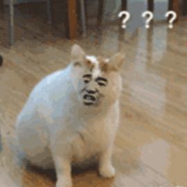 /hot-res/8d4c53650ff3c4cc086fbbcd1d569ff0-t_5ea24d8f_e31e00e9.gif