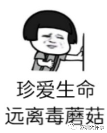 122153ent8tzqhkk4n8883.png