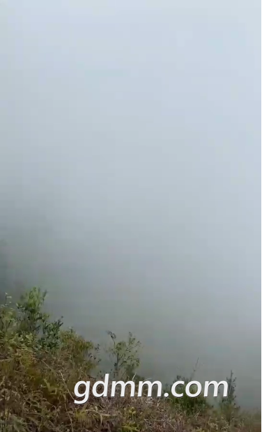 ΢��ͼƬ_20210308165341.png