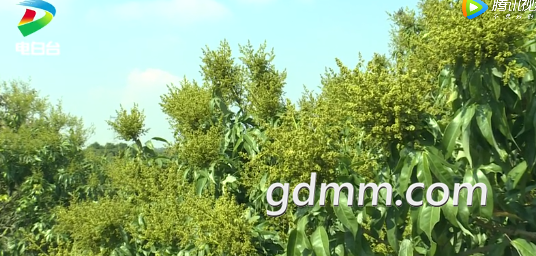 δ����1615968122.png