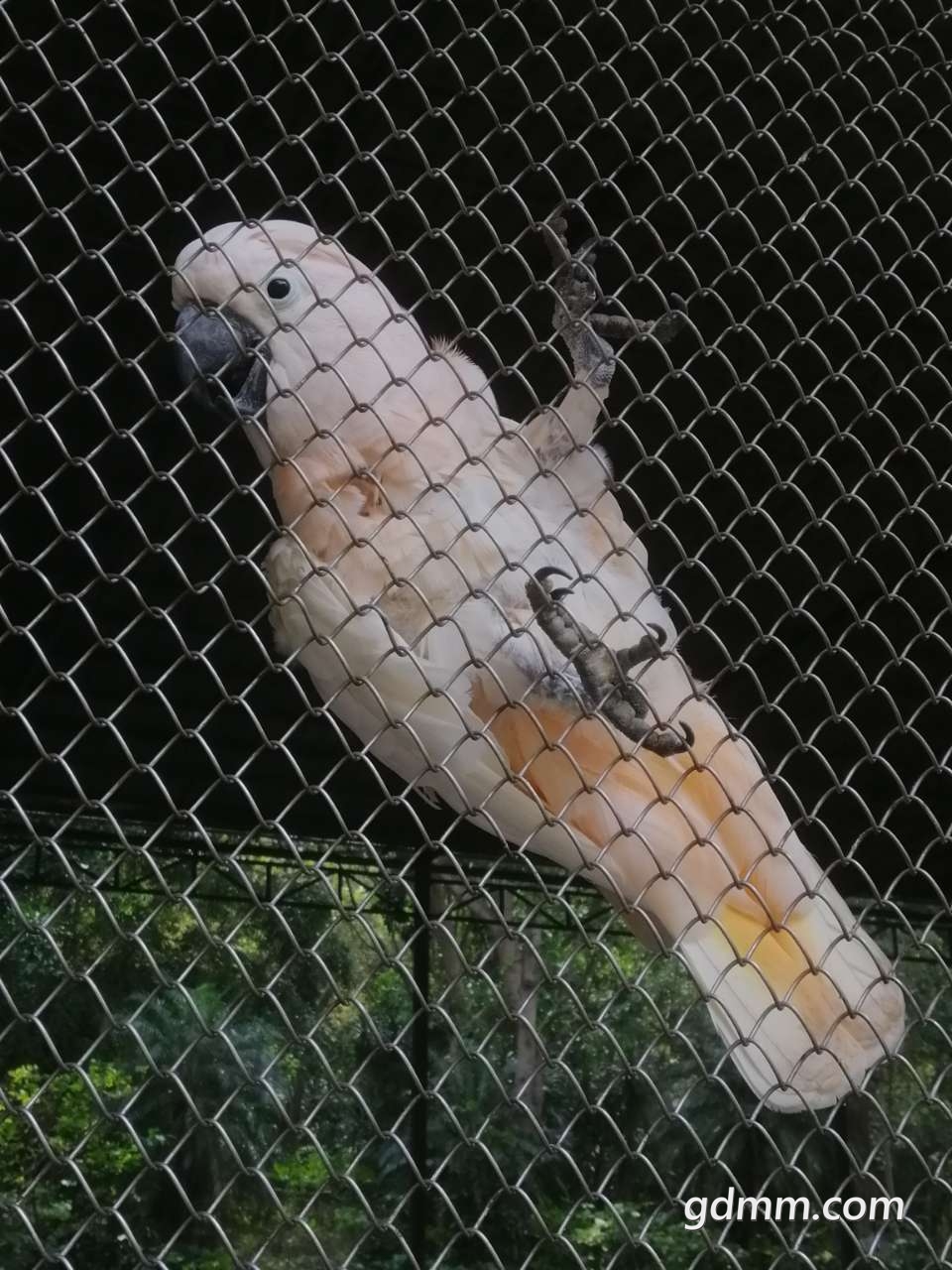front2_0_FjjuqlzYsbZPcgA0ARdRkBvPWByi.1615984173.jpg