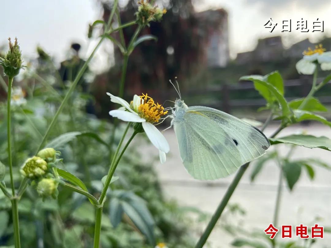 ΢��ͼƬ_20210317210029.jpg
