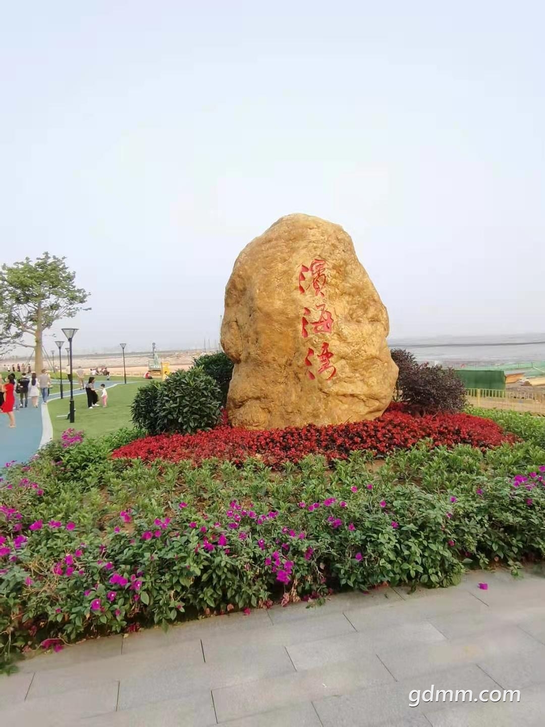 多图直击大湾区长安滨海湾现在的图片