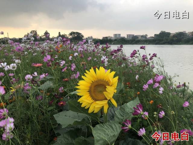 ΢��ͼƬ_20210401172413.jpg
