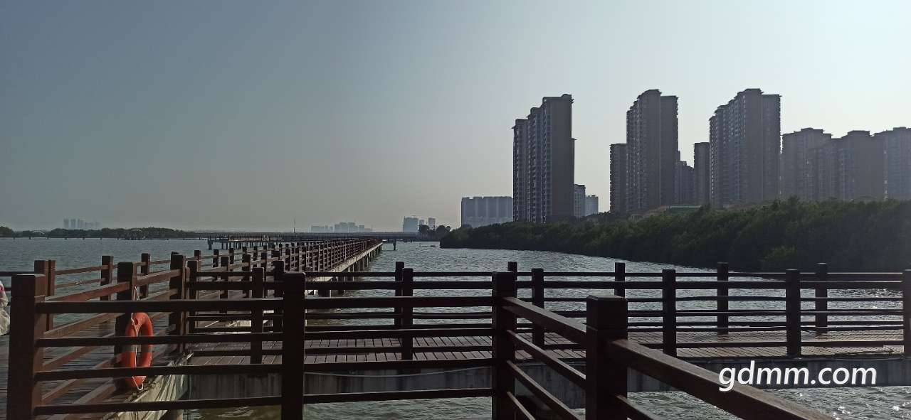front2_0_FgjK7F7-O799qWNp8049hpKEQQCF.1617627197.jpg