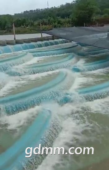 δ����1618200813.jpg