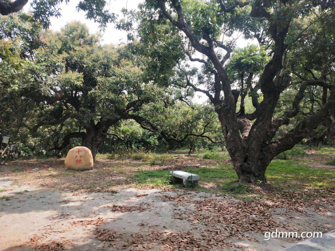 front2_0_Fn3l3vENwQ5SgtybTXXK5gOCwsQP.1619232540.jpg