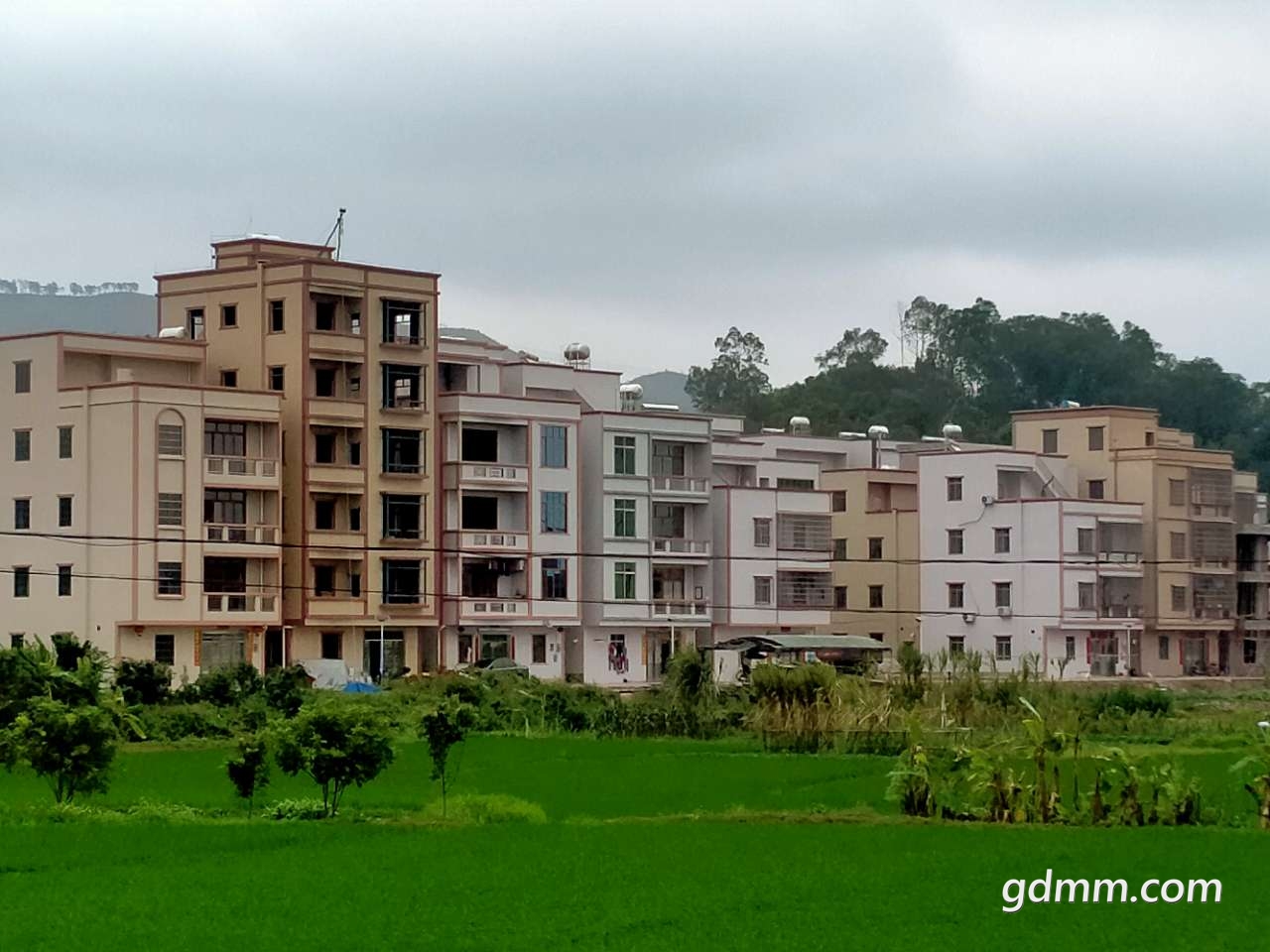 村民更富农村更美乡镇更强来一起走电白的春路