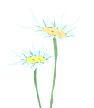132624buc47txta3cz4ozu.png
