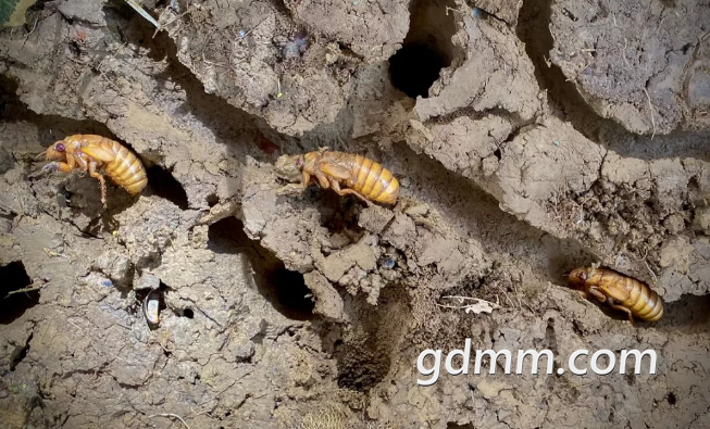 360��ͼ20210524153644976.png