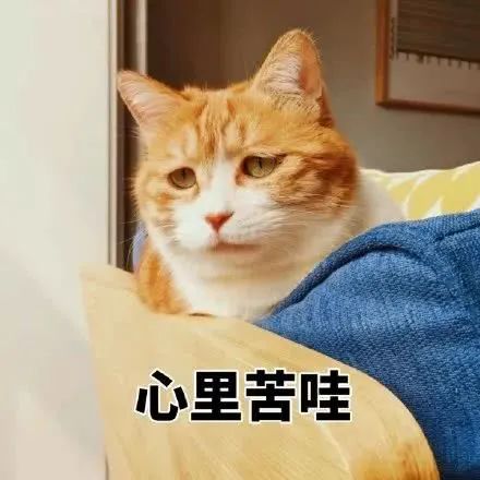 154537ndo0300dglpsnp5p.jpeg
