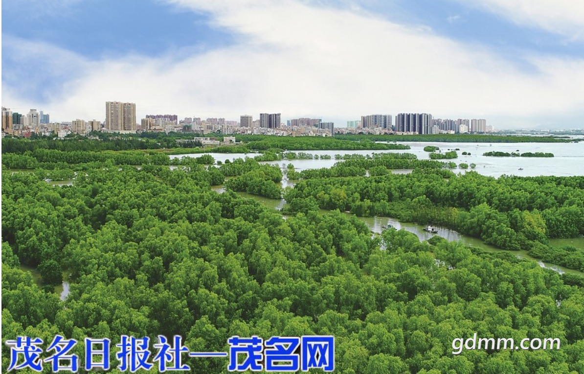 �ѹ���ͼ21��06��04��1101_20.png