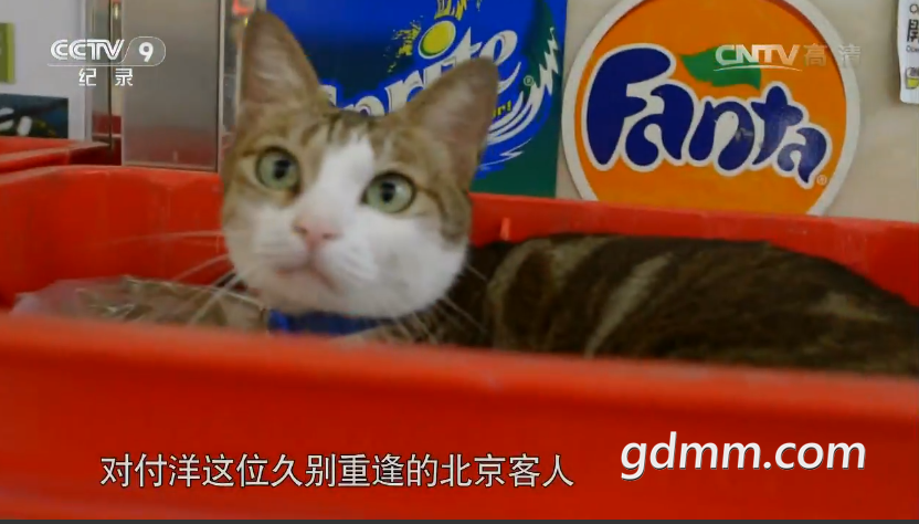 QQ��ͼ20210608130217.png