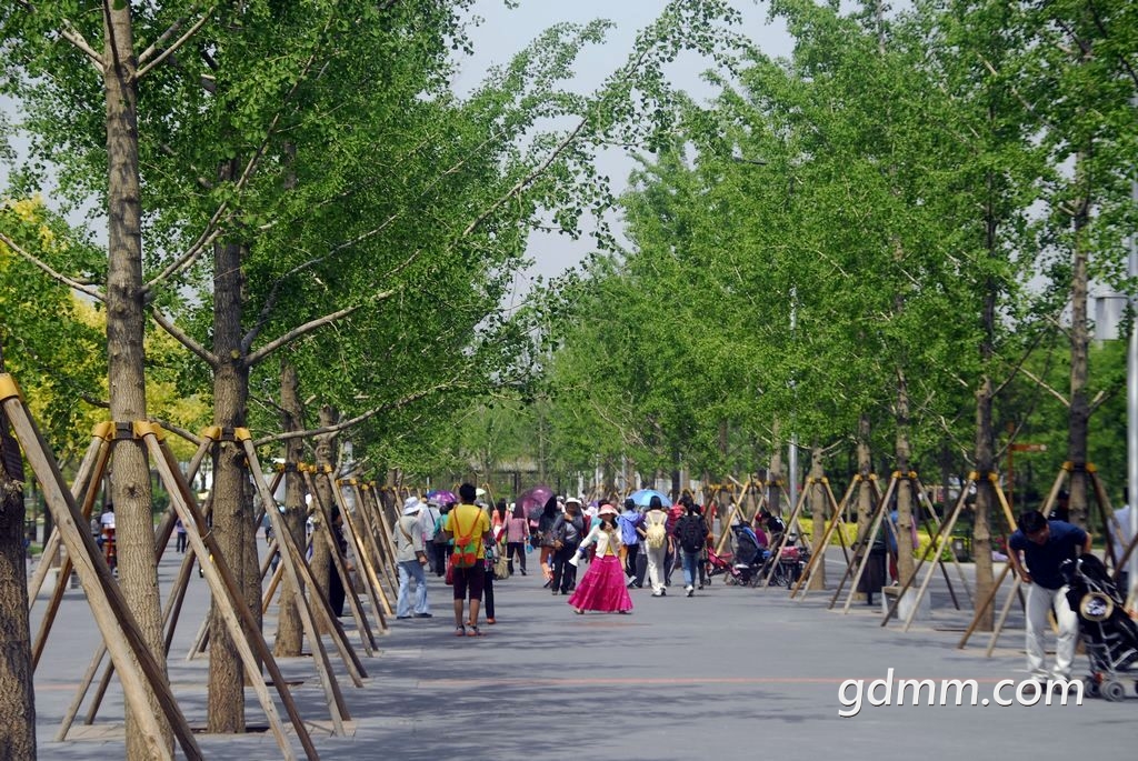 30.jpg