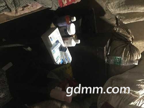 23D747F3-5D46-4132-8A0C-C8DE0C3D0819.jpeg