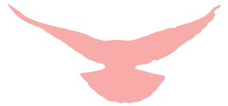 162926kkphb5h8vhq8wp3w.png