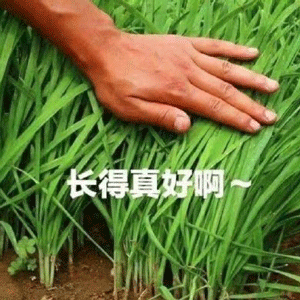 front2_0_FiADLhqpUgPYJZTCV2ER9wWsWtnH.1629211845.png