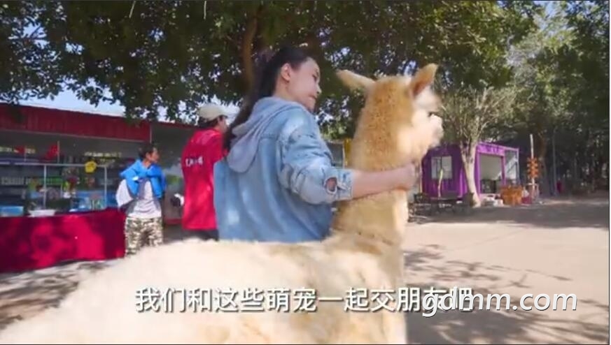 QQ��ͼ20211009195328.jpg