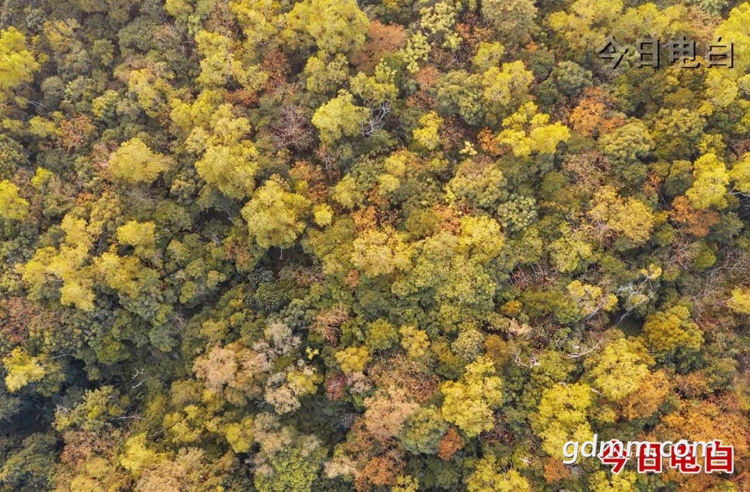 ΢��ͼƬ_20211018095219.jpg