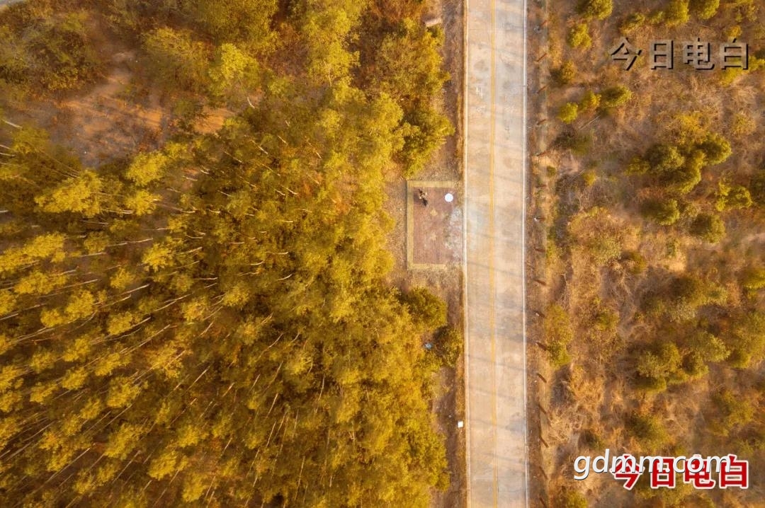 ΢��ͼƬ_20211018101258.jpg