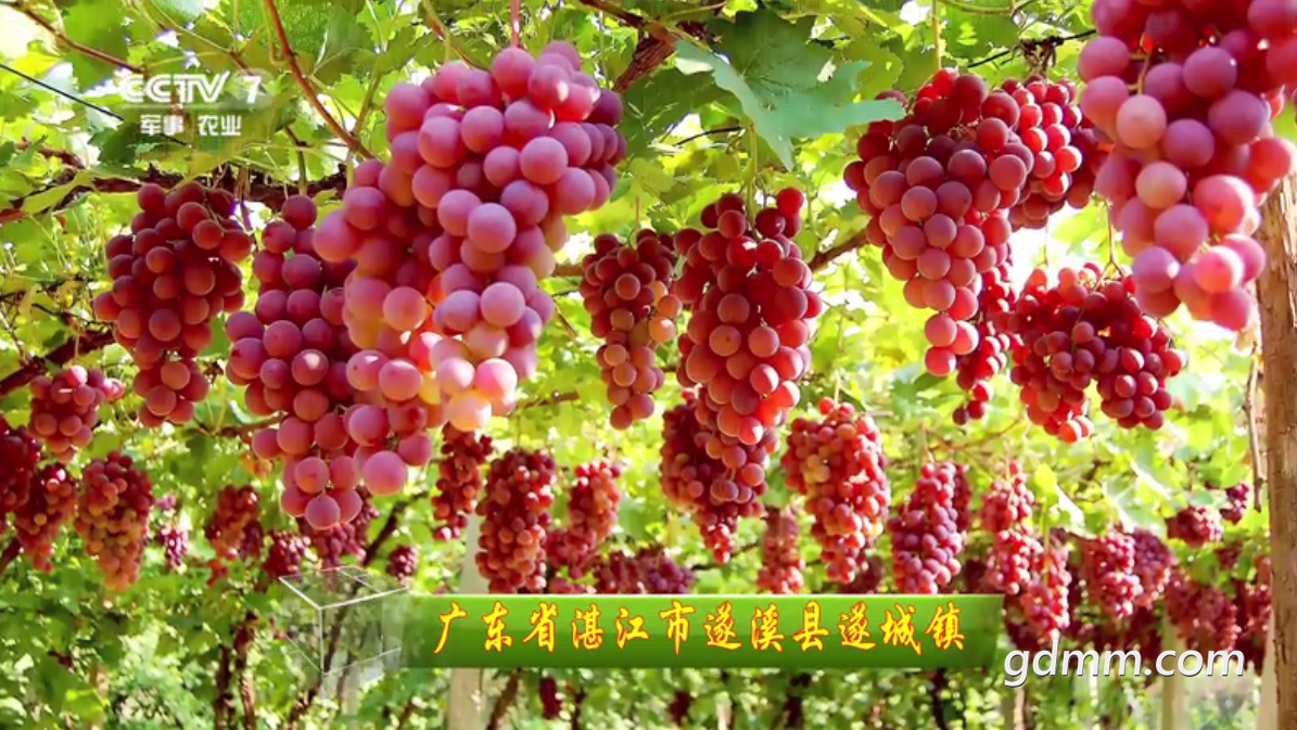 QQ��ͼ20210706121255.png