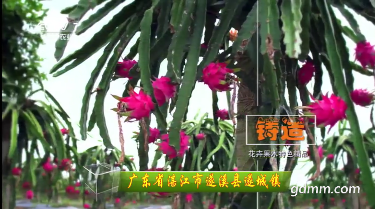 QQ��ͼ20210706121342.png