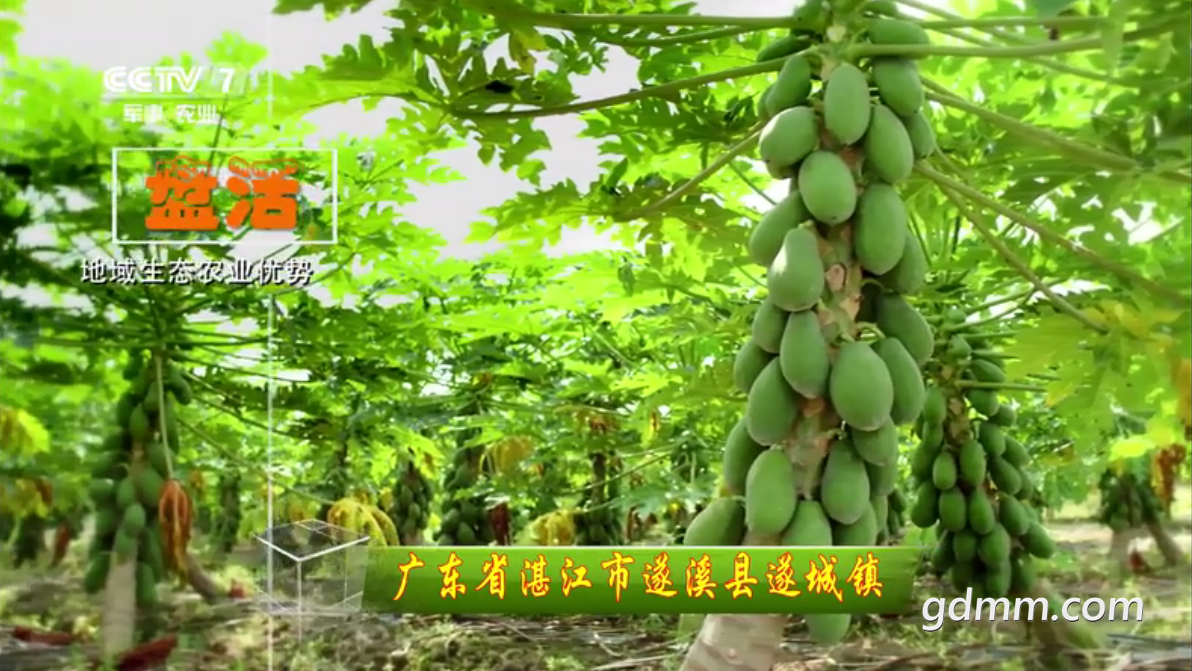 QQ��ͼ20210706121319.png