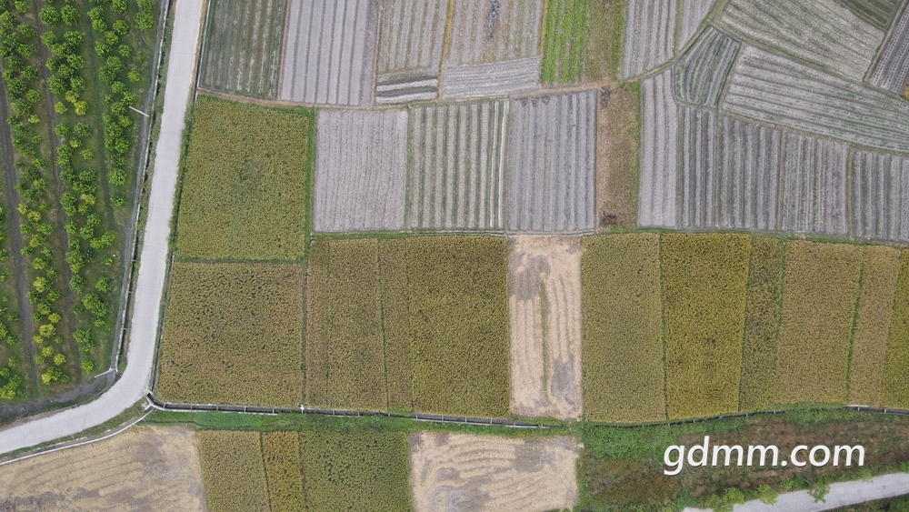 DJI_0123.JPG