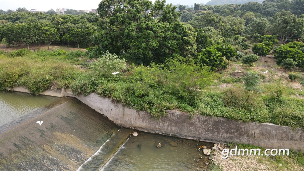 DJI_0266.JPG